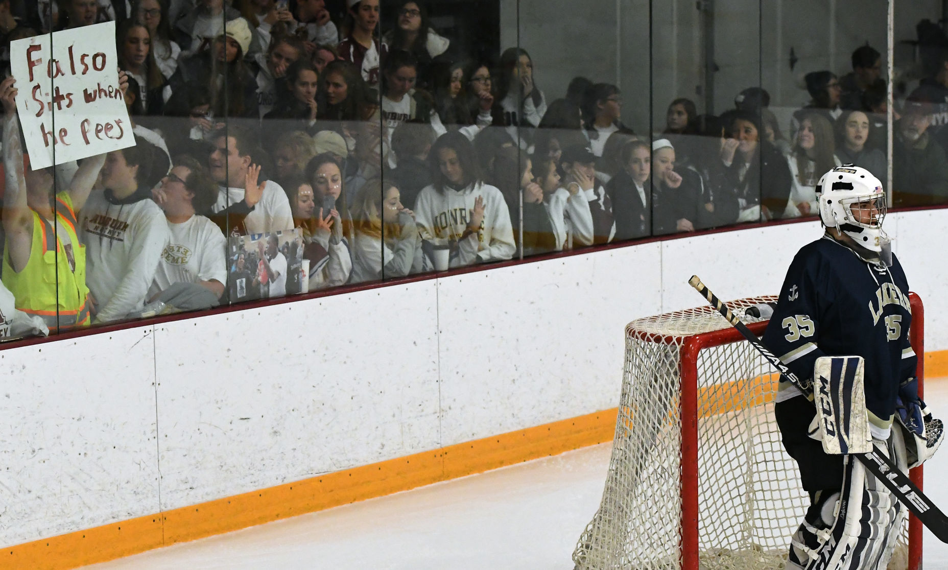 Hockey Goalie 9.JPG